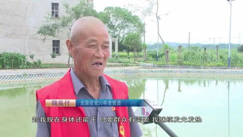 魏良付 老驥伏櫪 初心如磐