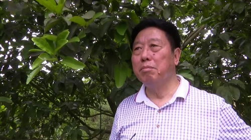 合江71歲特聘村主任 老驥伏櫪志在振興鄉(xiāng)村